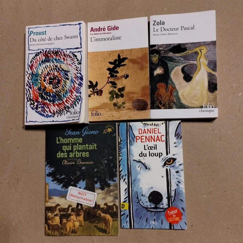 Five French Books  Du Côté De Chez Swann (Swann's Way) by Marcel Proust L'immora